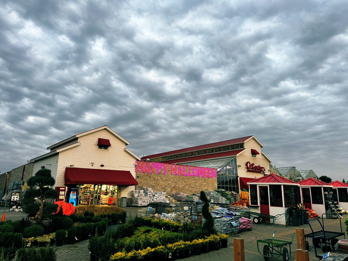 Pam McCurdy tweet media