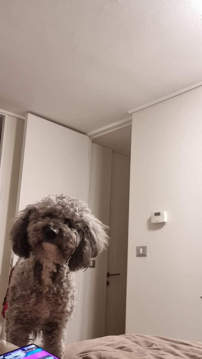 Aquí esperando el CapiTulazo! Con mi Perrita :) Todos digan Vania!! Saludos Tío Machuca ! #GranhermanoCHV