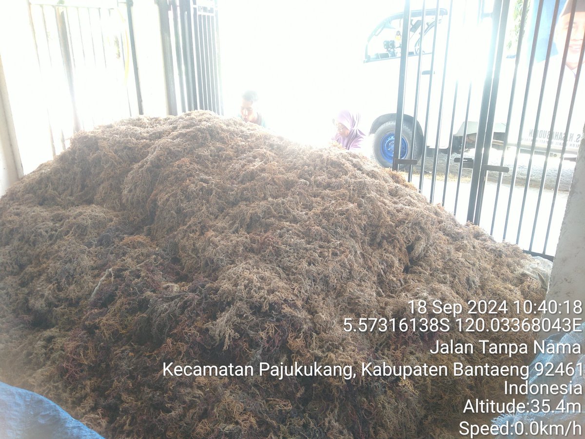AnggunAngg25809's tweet photo. Kegiatan hari ini

Mendampingi kelompok sinar harapan dalam akses pemasaran rumput laut Spinosum Rp 3.000/kg di Desa Pajukukang Kec Pajukukang Kab Bantaeng 

#luhlapor
#BPRSDMKKP
#Satminkalmaros https://t.co/RXowibtnWN