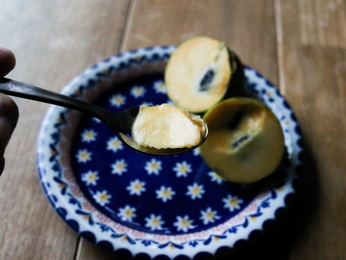 幡野さんのポストを見てから、
たまたま見つけたので買ってみた。
ポポー。
「幻のフルーツ」
「森のアイスクリーム」なんだって。
ミルキーで甘くて美味しい、癖の少ない南国フルーツだった。見つけたらリピしよう😋😋