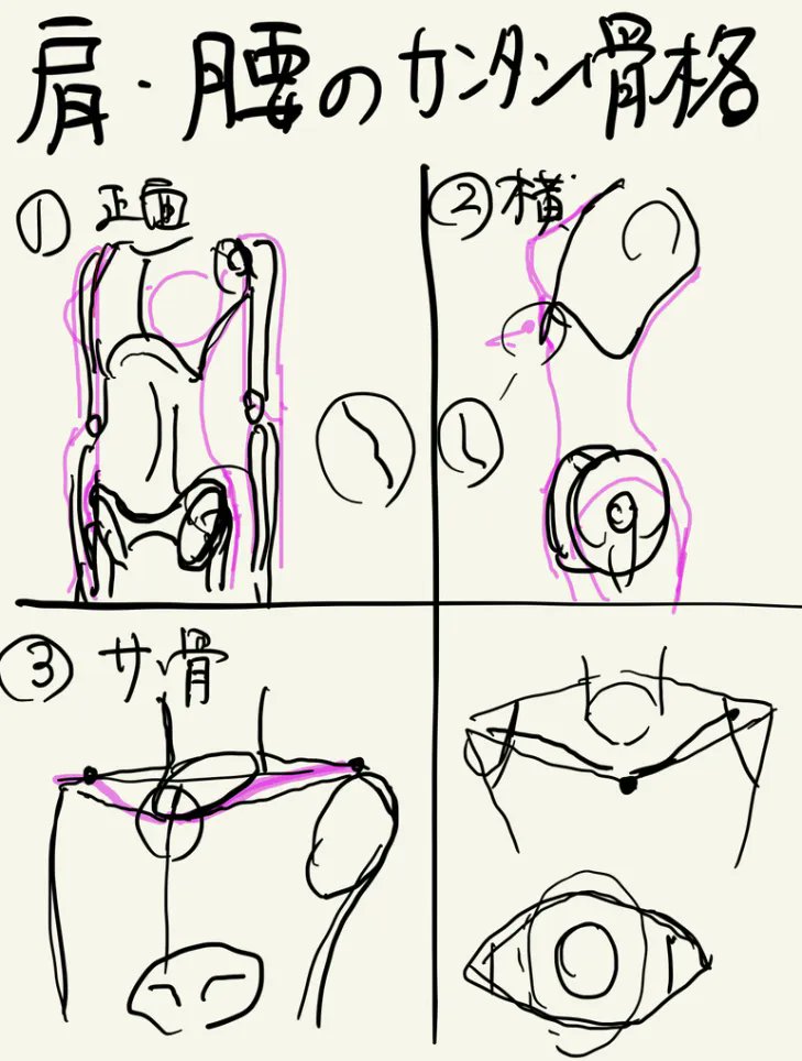 人体は複雑すぎるので描いて覚えてください!! 単純化、素体、筋肉骨格、諸々ありますが理屈はあくまで覚える手がかりにしかなりません。 人体一つ覚えるのに辞書一冊覚えるような感覚に近い。 基本的に難しすぎるので見ながら描くようにしましょう。 むしろ人体を描けたら、絵で一生食って行ける!!