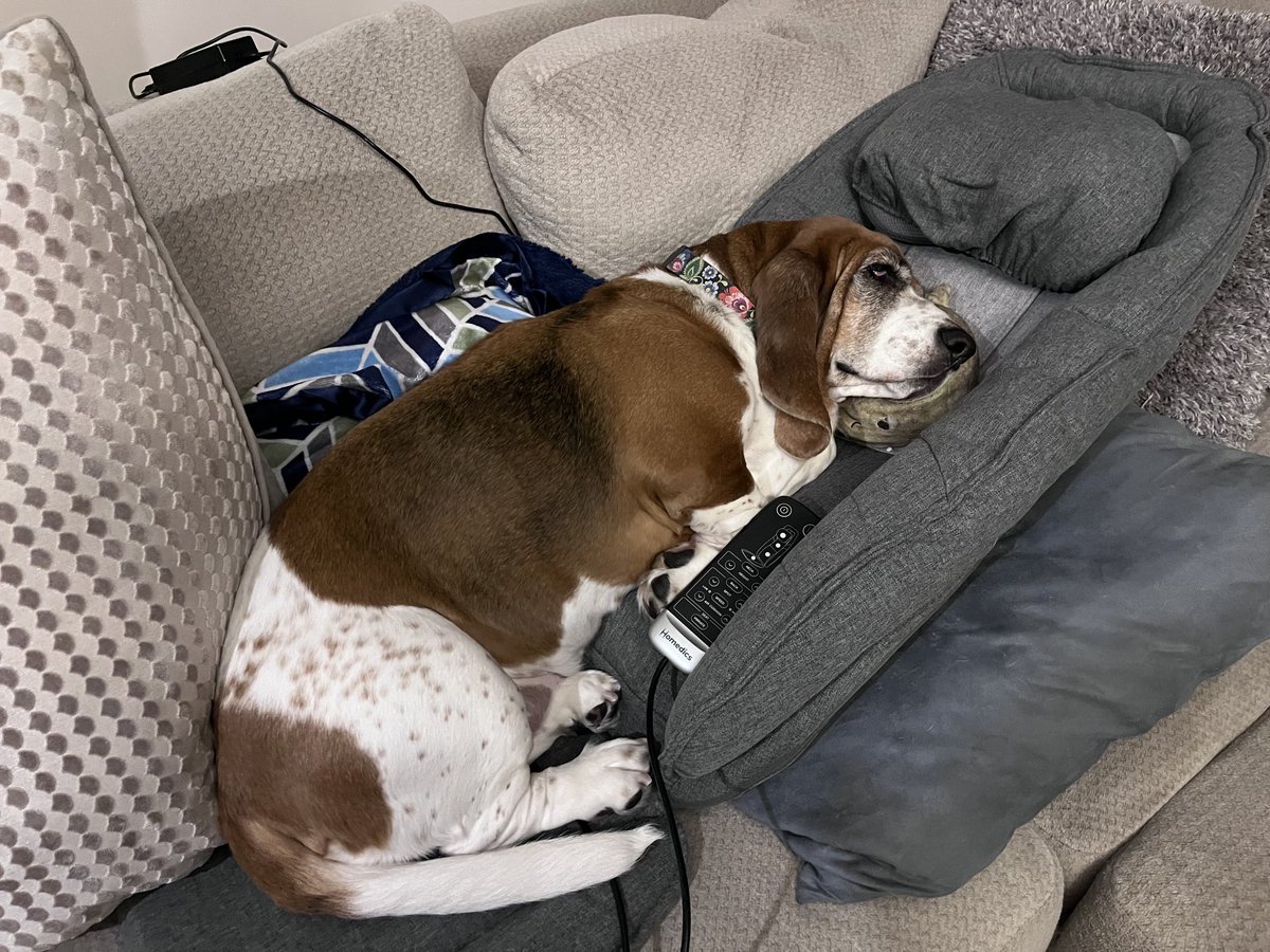 Mark Lewis, MD, FASCO tweet media