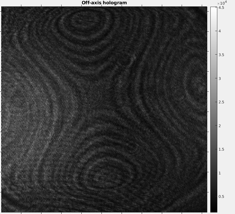 RetoPaul's tweet image. Some off-axis holography today.

The Tetrapod phase mask from @ShechtmanLab is recognizable.

Still some work on setup and reconstruction needed.

#optics #interferometry #holography