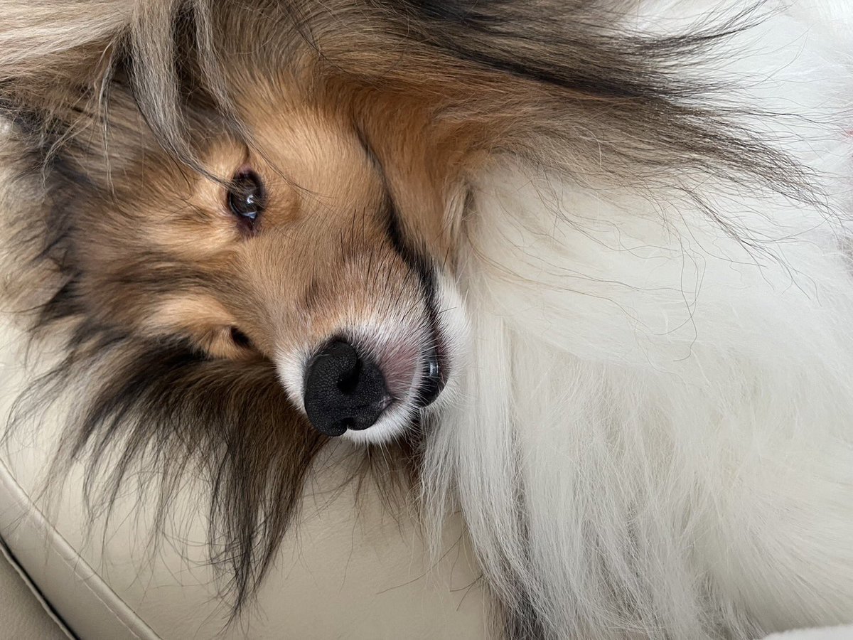 みたなぁぁ…！