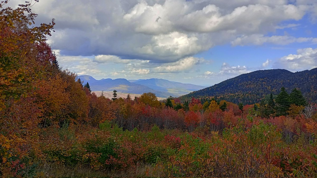 Martin Pitt tweet media