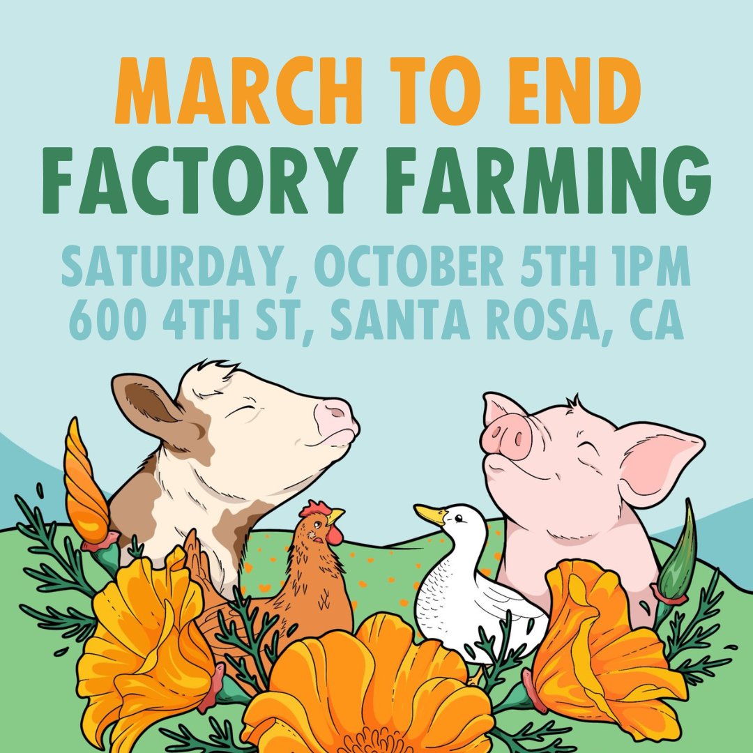 Join the Coalition to End Factory Farming this Sunday!