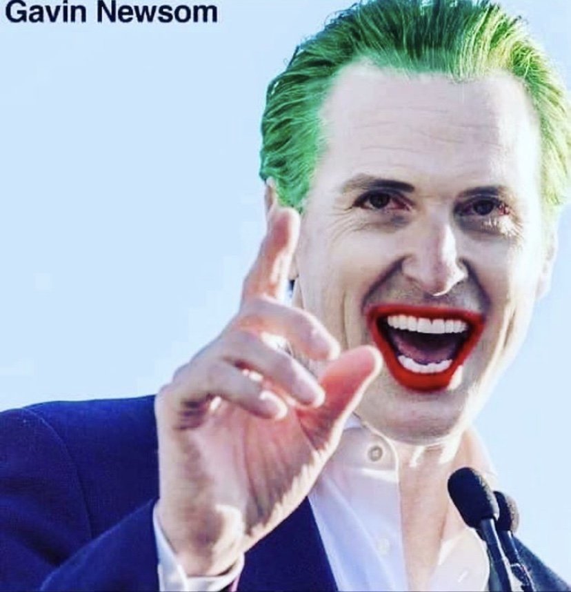 TaraBull's tweet photo. @elonmusk Gavin Newsom is the real life Joker https://t.co/8TTzUOPS0T