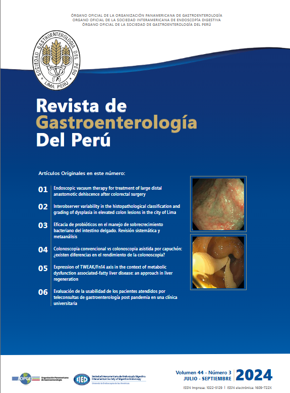 RevGastroPeru's tweet photo. Ya salió el Nro 3, 2024 de la Revista de Gastroenterología del Perú, los invitamos a revisarlo en: https://t.co/FVXvsUZ8CP https://t.co/yWUgLMLK6p