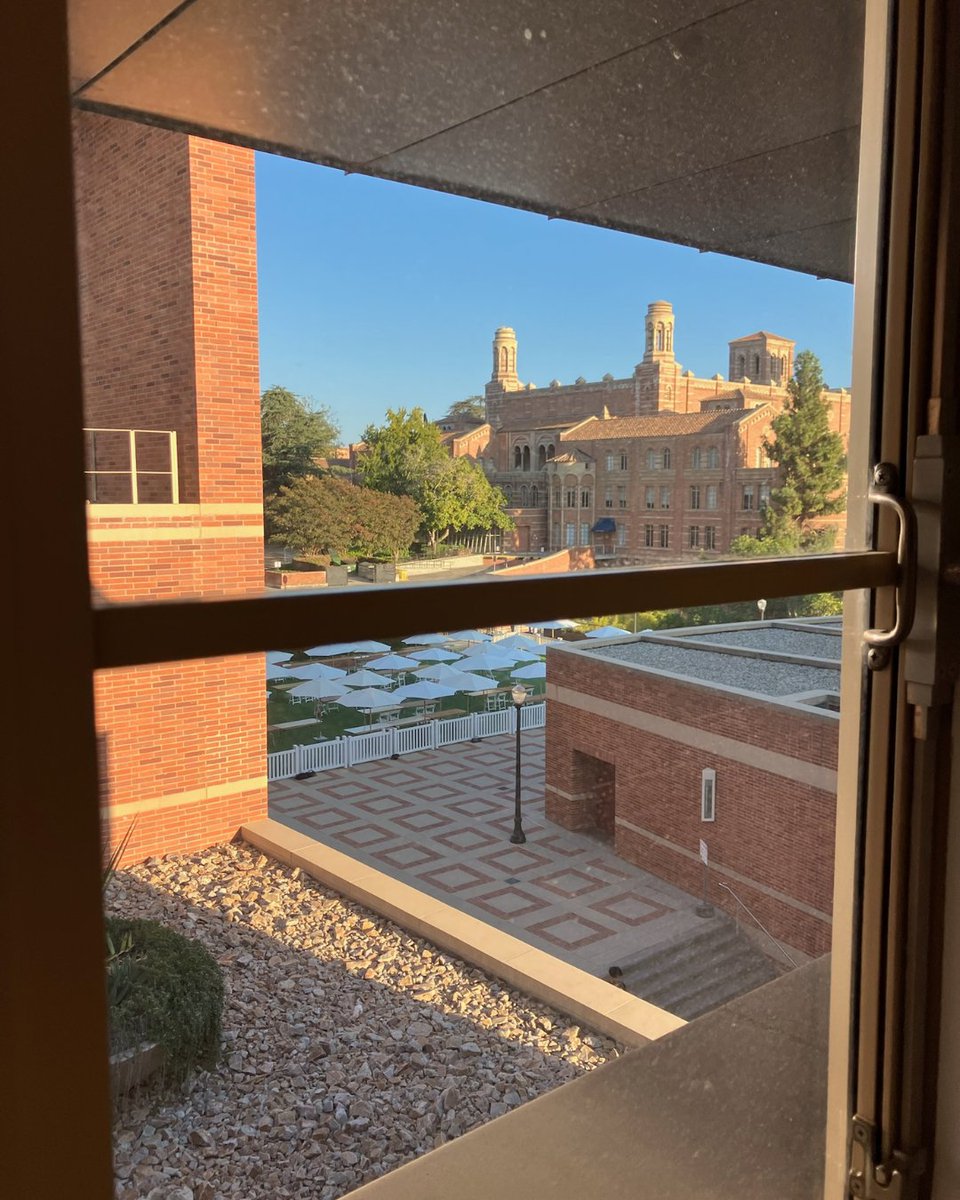 Jana Gallus tweet media