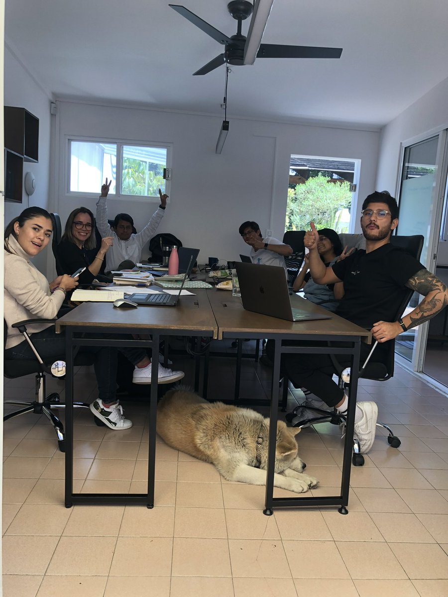 Miguel Pulido tweet media