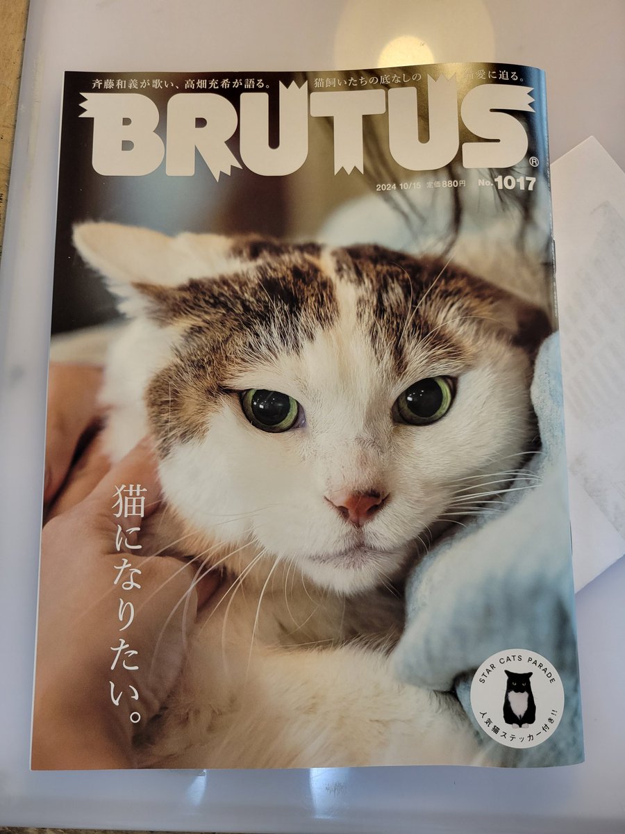 【受注生産品】 ひらやすみ最新8集発売中！！ 真造圭伍 on  X: 青年漫画