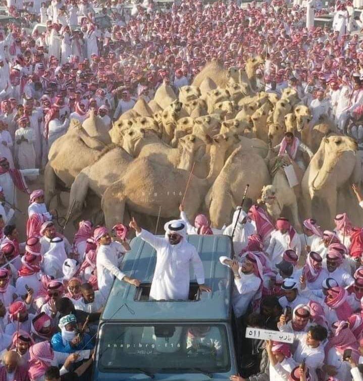 HIDR0S's tweet photo. @jamalrayyan مشغولين ببول البعير https://t.co/GWDzxXB2KD