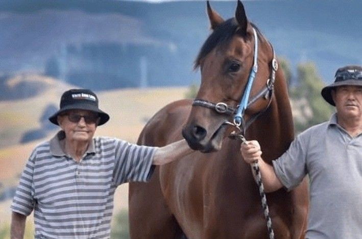 LOVERACING.NZ tweet media