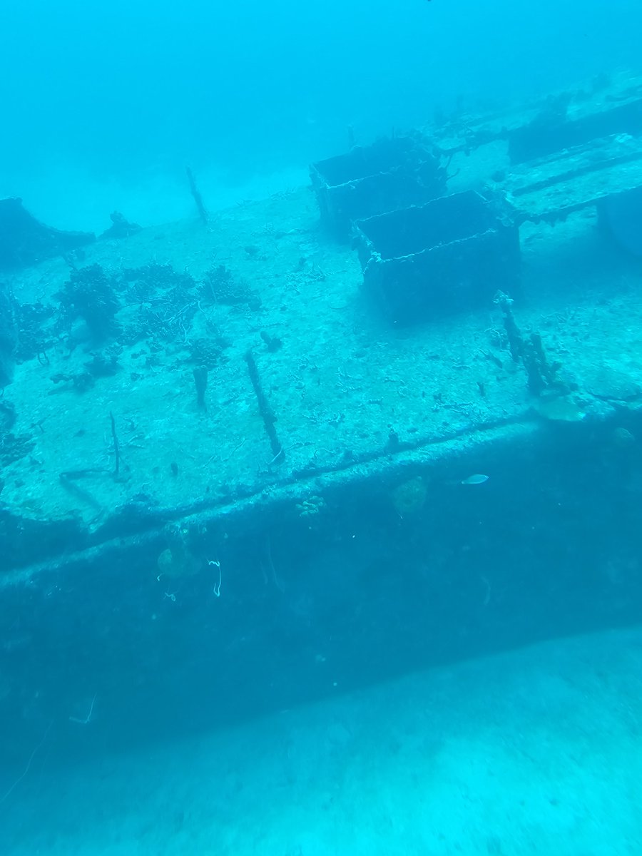 kng30000's tweet image. For my gmove, I present my sub and my joys of searching the sea. I challenge @LeowongWL @galenlawkun @adro808  #gmovechallenge @gmove