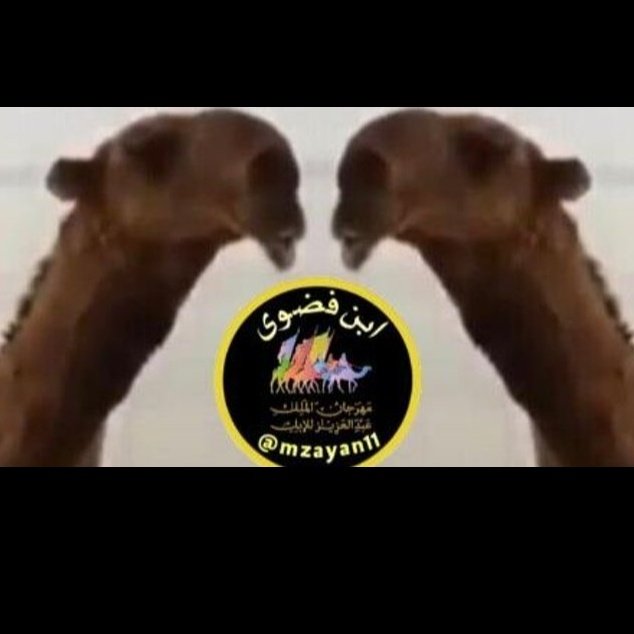 #صورة_ملف_شخصي_جديدة