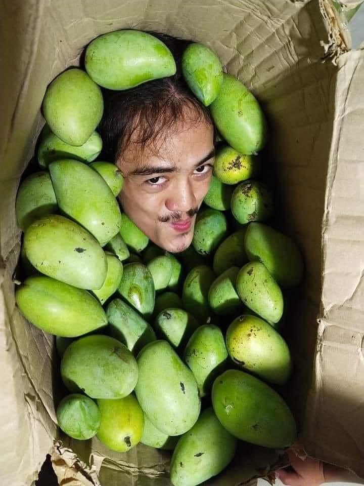 PinoyCoinSol's tweet image. Happy Mango Monday 🥭 $PINOY 🇵🇭