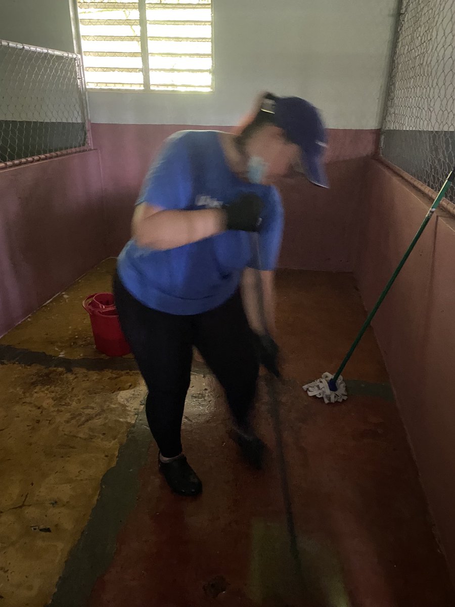 Eveliz Cotto tweet media