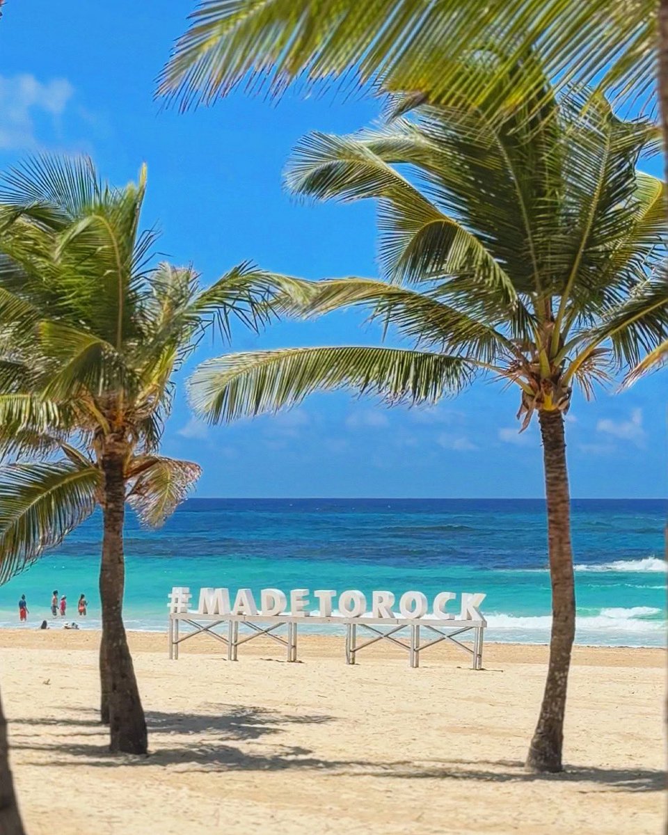 Surrounded by palm trees and vitamin d. #HRHCPuntaCana