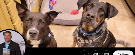 OptimusBananas's tweet photo. @Ron_Clements @NatlParkService are these even your real dogs? https://t.co/Bv09z05jdV