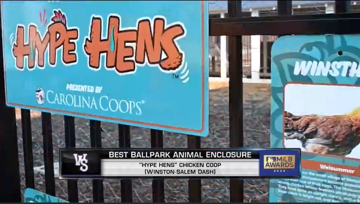 Wonder what it’s like to not win <a href="/bensbiz/">Benjamin Hill</a> Best Ballpark Animal Enclosure in the 2024 <a href="/MiLB/">Minor League Baseball</a> Awards

… guess we’ll never know 🏆
