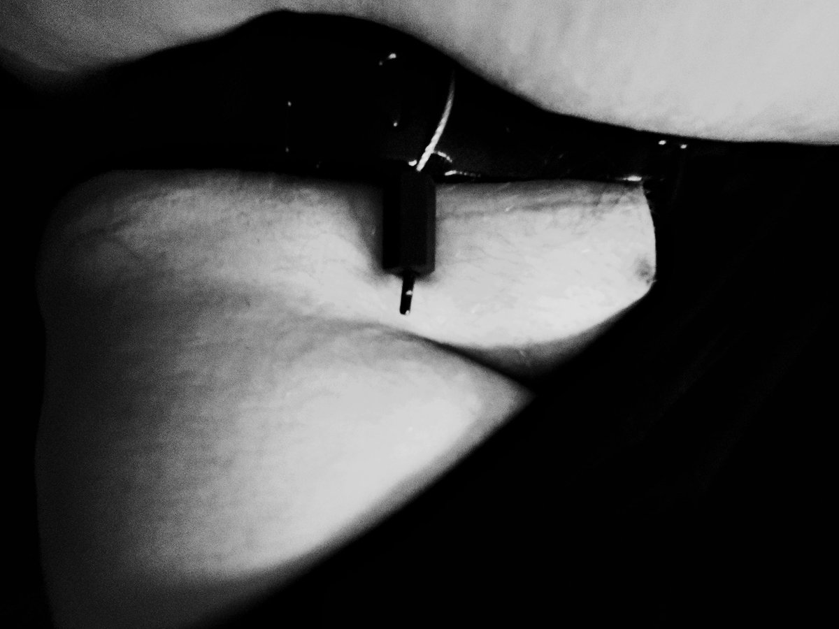 Seals are trimmed up. All locked up tight for a long locked up month. 

#twasthenightbeforelocktober
#locktober
#chastity
#chastitybelt