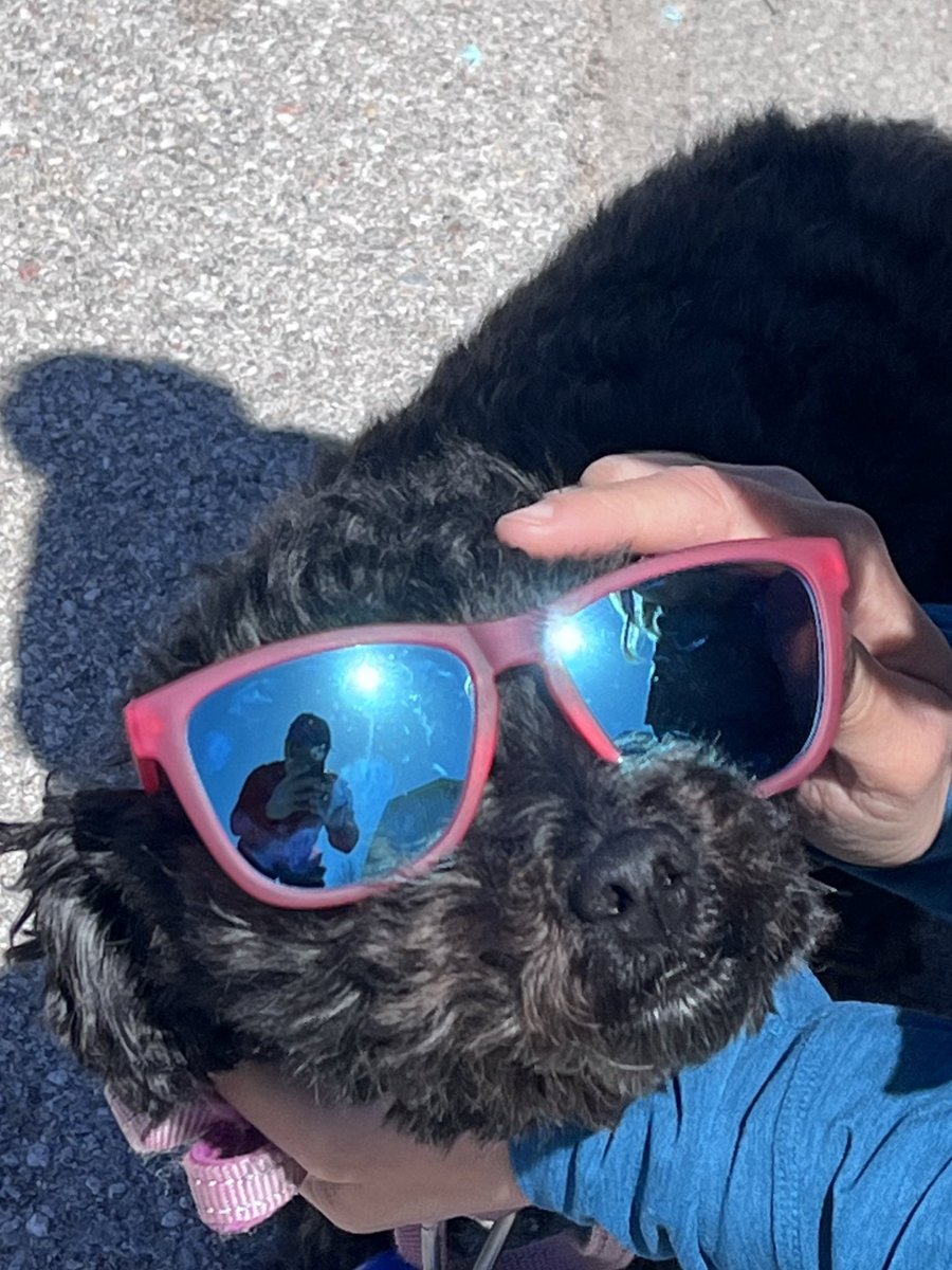 cubmurf's tweet photo. @oyster_art Stay cool, Jerome. 

As Always -Wrigley https://t.co/0RNiD8J21Y
