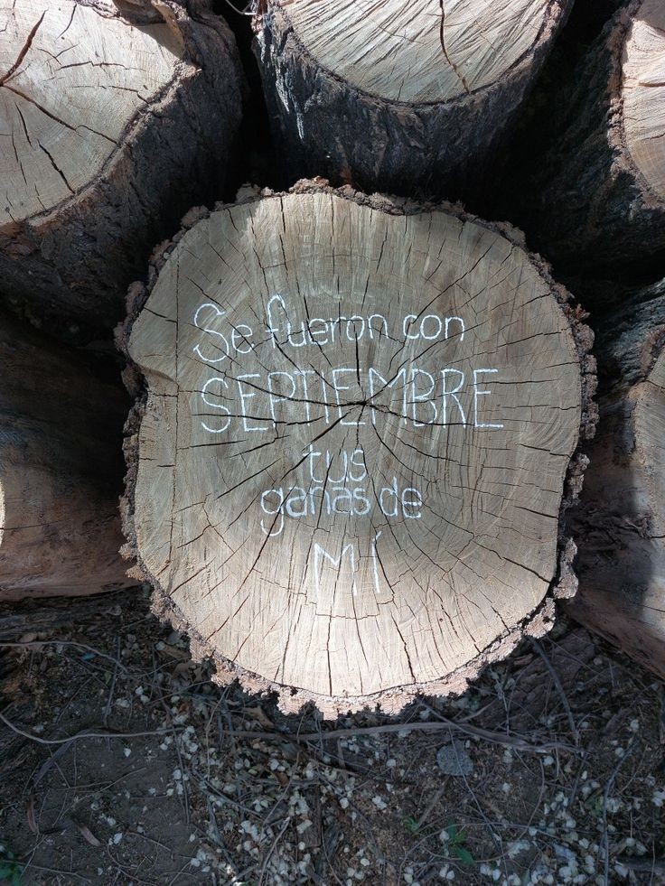 Gerez_1204's tweet image. Y una forma errante de permanecer
Llenó de noches todo nuestro amanecer ❤️‍🔥🌟