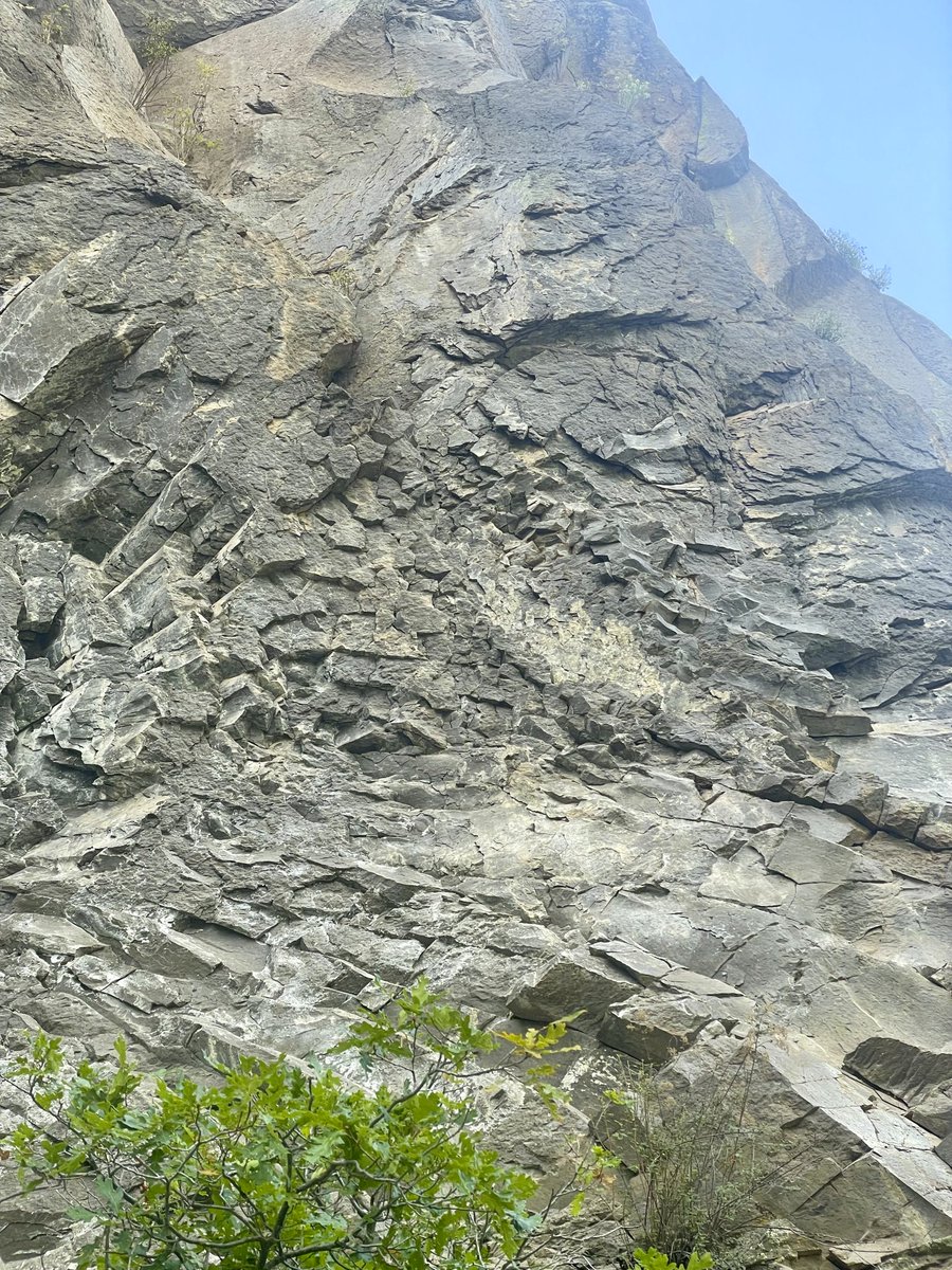 Geology rocks! <a href="/RiceEarthSci/">Rice Earth, Environmental and Planetary Sciences</a> <a href="/RiceUniversity/">Rice University</a> students saw some fabulous outcrops in NM over the weekend. Giant spodumene of Harding mine, metaconglomerate of Picuris formation, pyroclastic flow deposit  &amp; columnar joint in ash-flow tuff of Valles caldera. with <a href="/CinTyLeeEarth/">Cin-Ty Lee</a>
