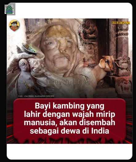 Tanyarlfes tweet media