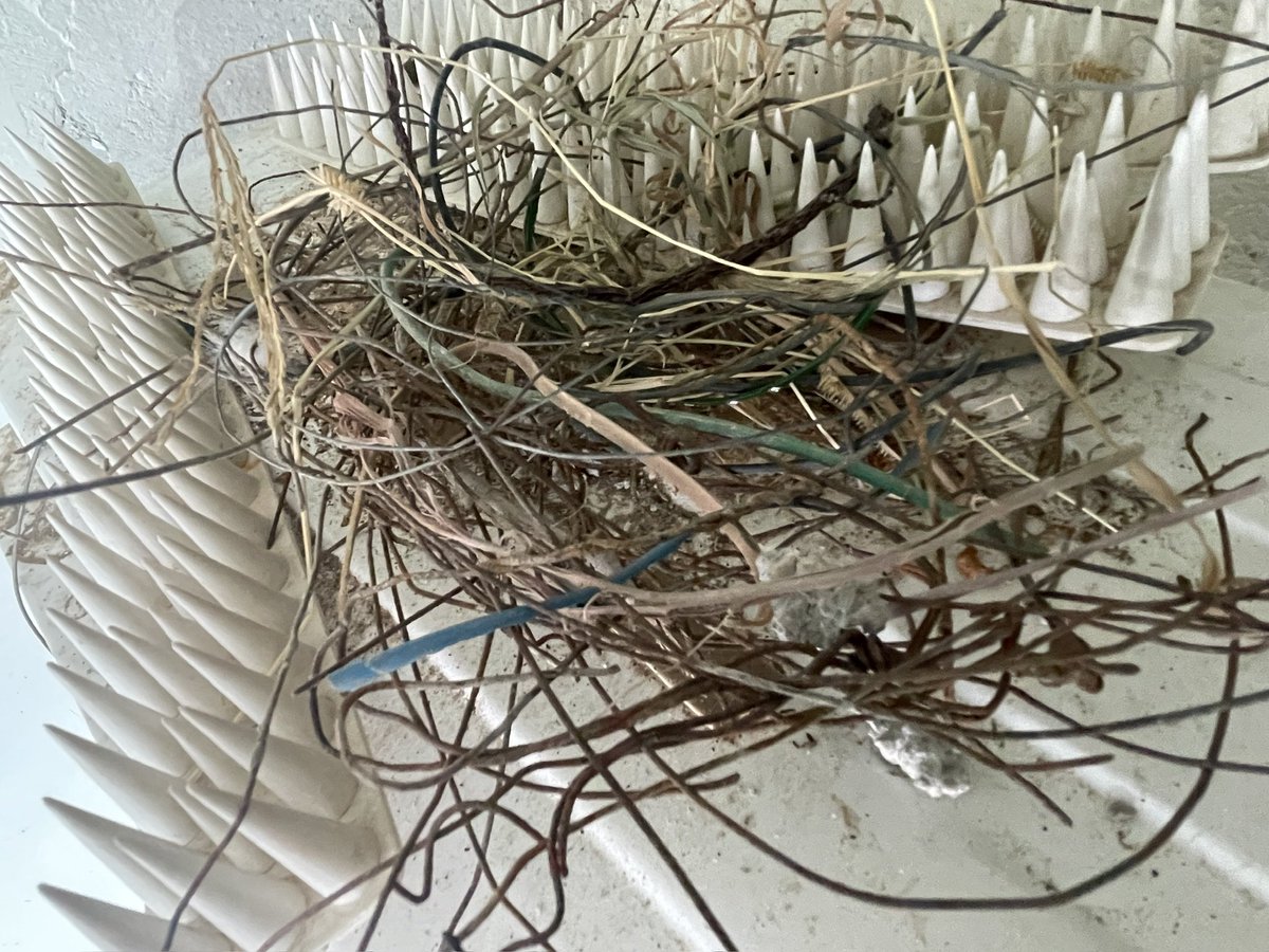 Dr. Mahendra, MD Psychiatry tweet media