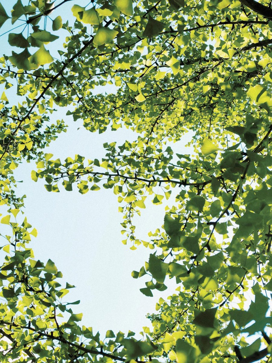 🍂²⁰²⁴/₁₀.₀₁🍁
9月さようなら、10月こんにちは!