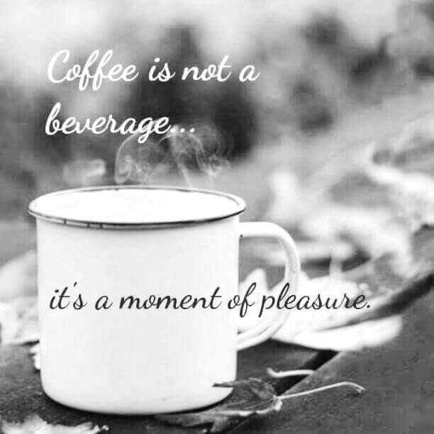 kogodcoffee's tweet photo. Let’s raise our cups to the drink that powers us through mornings, meetings and late night deadlines. 
HAPPY INTERNATIONAL COFFEE DAY ☕️☕️ 

Catalog: https://t.co/RP1CBBFvp4

#internationalcoffeeday #indiancoffee #freshroastedcoffee #freshroastedcoffeebeans #coffee https://t.co/moDkj3cnBp