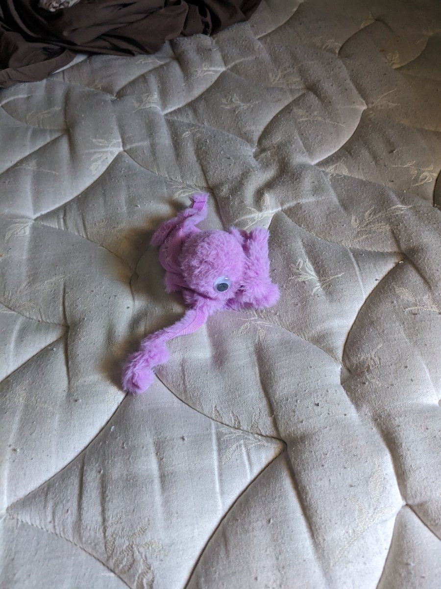 So Lucipurr brought me his favorite toy for the second time today. What a sweetheart.