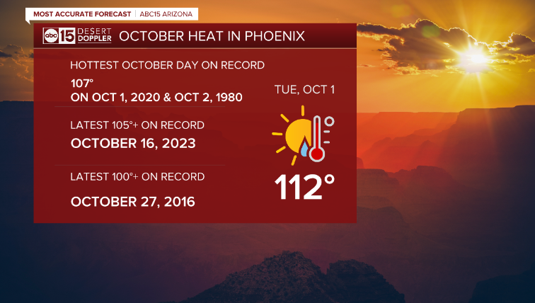 Amber Sullins tweet media