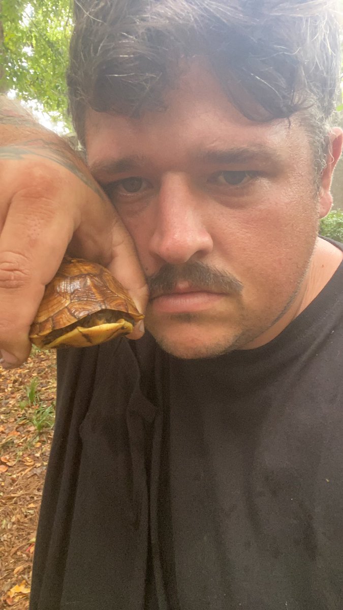colinxkong's tweet photo. Found a turtle .he cool https://t.co/qWsY4rQo4L