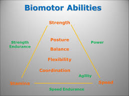 coachblade's tweet image. INSANE 
Now we have librarians deciding what sort of data is permissible on a sports topic.
The @TewksburyLib in #Massachusetts has cancelled a lecture by @BrowngaGreg - a #Kinesiology professor - who was going to detail male and female performance differences in #sports. 
WHY?!