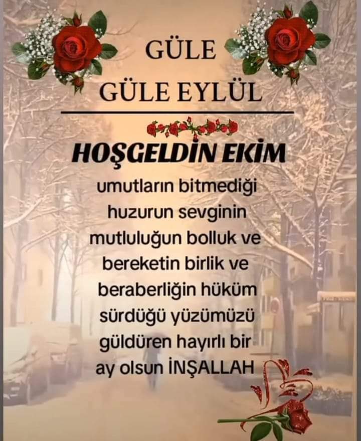 EMAD BULENT AYSAR (@bulent_aysar) on Twitter photo 