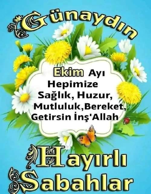 EMAD BULENT AYSAR (@bulent_aysar) on Twitter photo 