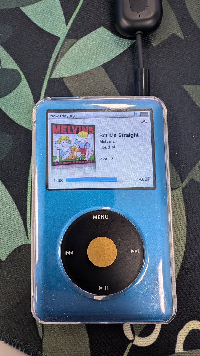 Altin | アルティン 🔜 manedstripes.cat tweet media