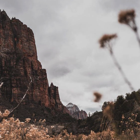 𝐂𝐢𝐜𝐜𝐢 𝐁𝐨𝐜𝐞𝐭𝐭𝐢 (@little_bocetti) on Twitter photo 