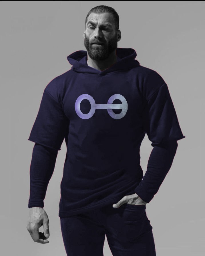 Average $AIUS holder: