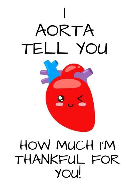 It has been our privilege taking part in #AorticDiseaseAwarenessMonth 2024. Thank you to all of our incredible surgeon and survivors for sharing their stories weekly. And to medical students interested in staying involved with patient advocacy and #AortaEd, please reach out!