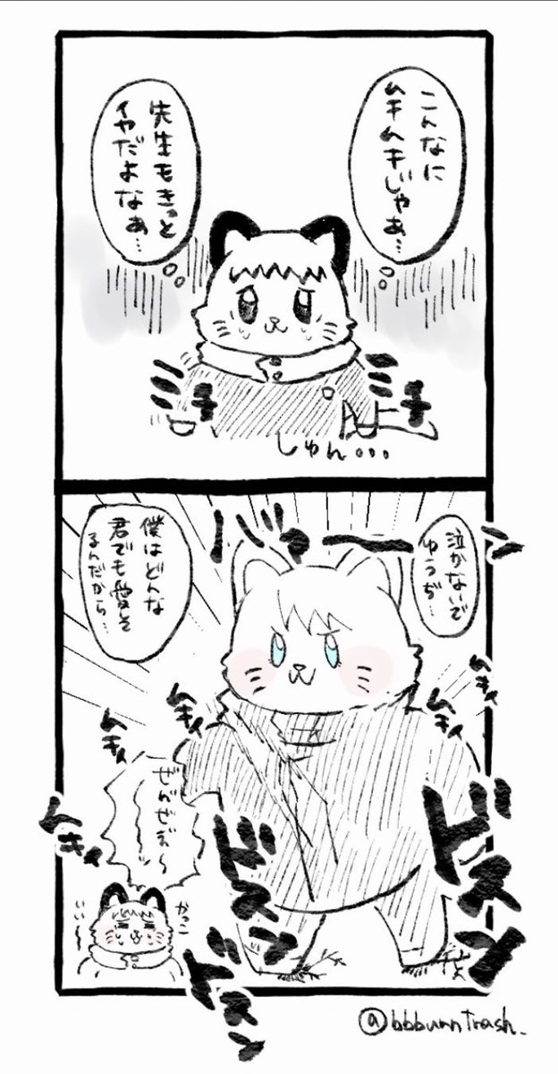 肩強ネコチャンサイハーーーーーン嬉しいおめでとう〜!!!(再掲) 