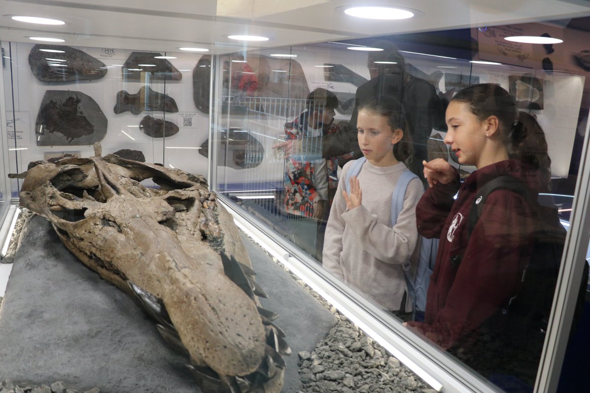 St Christopher's tweet media