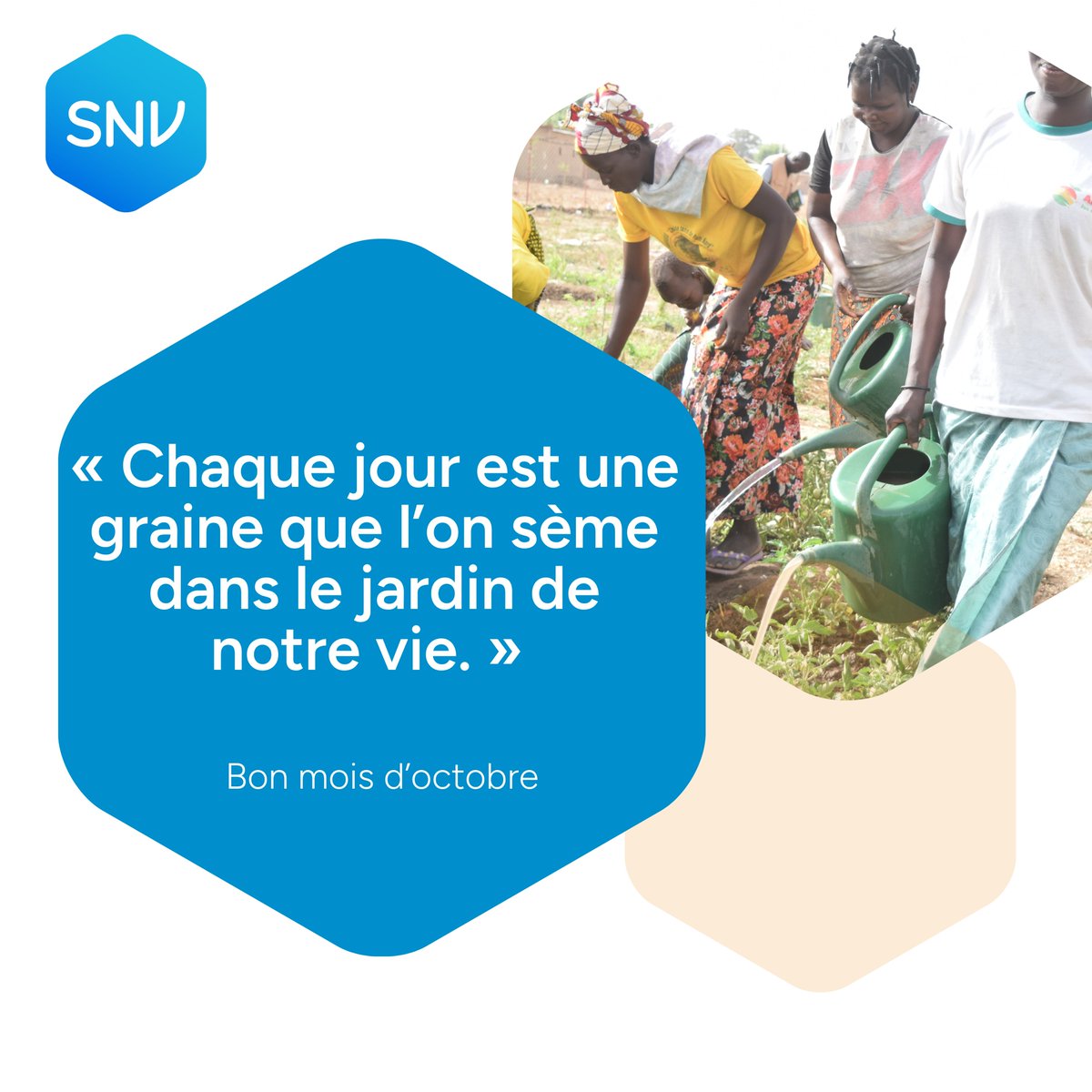 SNV_Burkina Faso tweet media