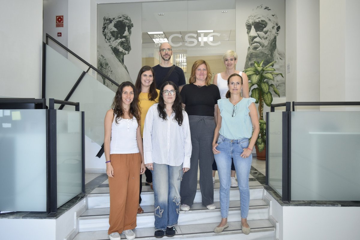 IATA CSIC tweet media