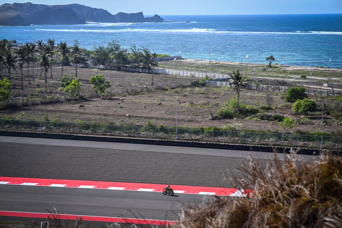 SnipersRacing's tweet photo. Thank you Indonesia! 🇮🇩 it's always fantastic to race in Mandalika with your support! 😍 #IndonesianGP

Weekend recap ⬇️

🇮🇹 https://t.co/2evYze1BUz
🇬🇧 https://t.co/xLFGyrRy50

#Motogp #Moto3 #indonesiangp #motogpindonesia #mandalika #snipersteam #bertelle #almansa #racing #hrc https://t.co/SZFVrJ9Czi