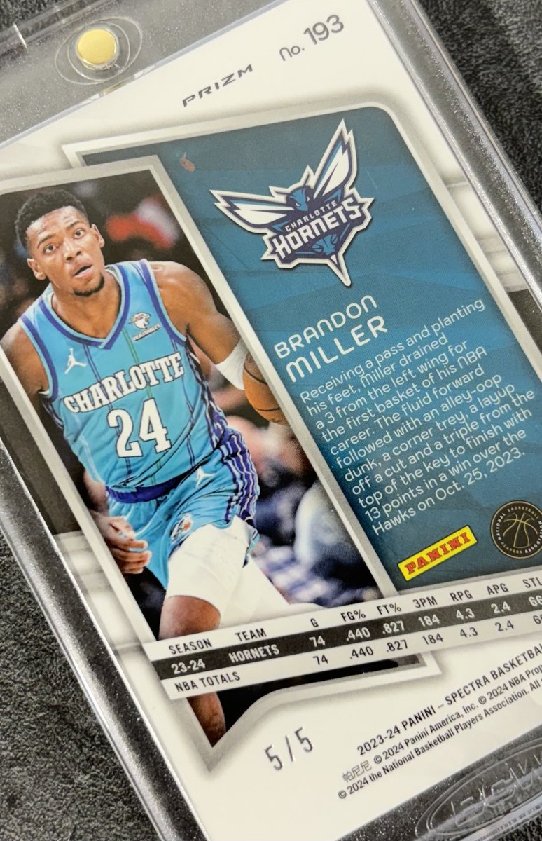 Brandon Miller Spectacular Debut Marble /5 😵‍💫