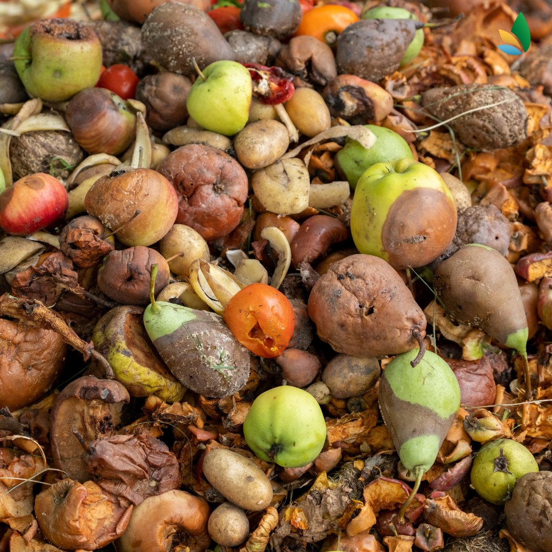 BETA_TechCentre's tweet photo. 🌱 Cada año se pierde 1/3 de los alimentos antes de llegar a nuestra mesa 🍎. Esto agrava el hambre y daña el medio ambiente 🌍. Proyectos como #FOLOU usan tecnología para reducir estas pérdidas 🚜📊
Lee la noticia aquí👉 https://t.co/ljEgH12iKK
#Alimentación #Sostenibilidad https://t.co/fM7CQL897w