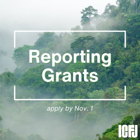 opportunitiesfy's tweet photo. ๐ Calling All Journalists! #ICFJ is offering reporting grants of $2,000 - $3,000 to support high-quality climate change #journalism, especially in the #GlobalSouth.
๐
Deadline: Nov 1, 2024
๐Visit: https://t.co/Ja5vZIfVYR
#ClimateChange #ReportingGrants #ClimateJournalism https://t.co/3CWvBAEWma